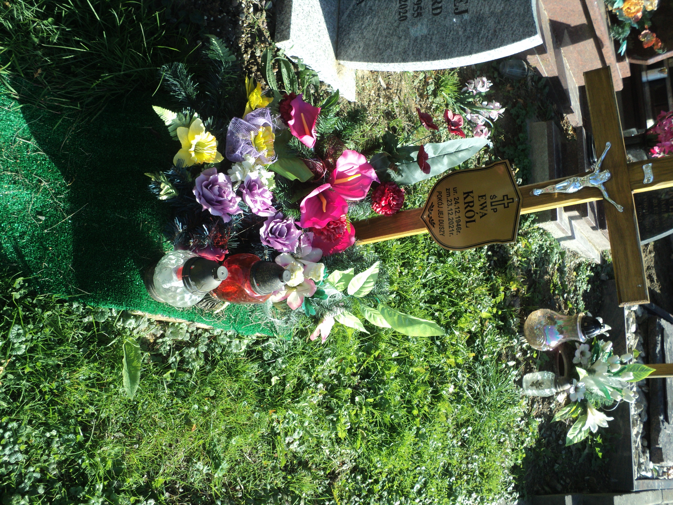 Ewa Król 1946 Polanica Zdrój - Grobonet - Wyszukiwarka osób pochowanych