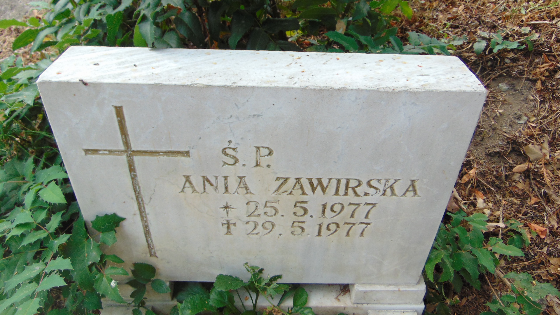 Anna Zawirska 1977 Polanica Zdrój - Grobonet - Wyszukiwarka osób pochowanych