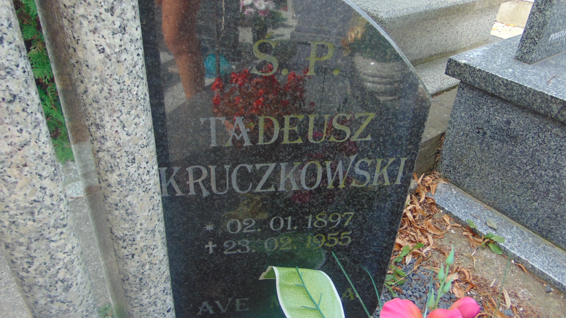 Tadeusz Kruczkowski 1897 Polanica Zdrój - Grobonet - Wyszukiwarka osób pochowanych