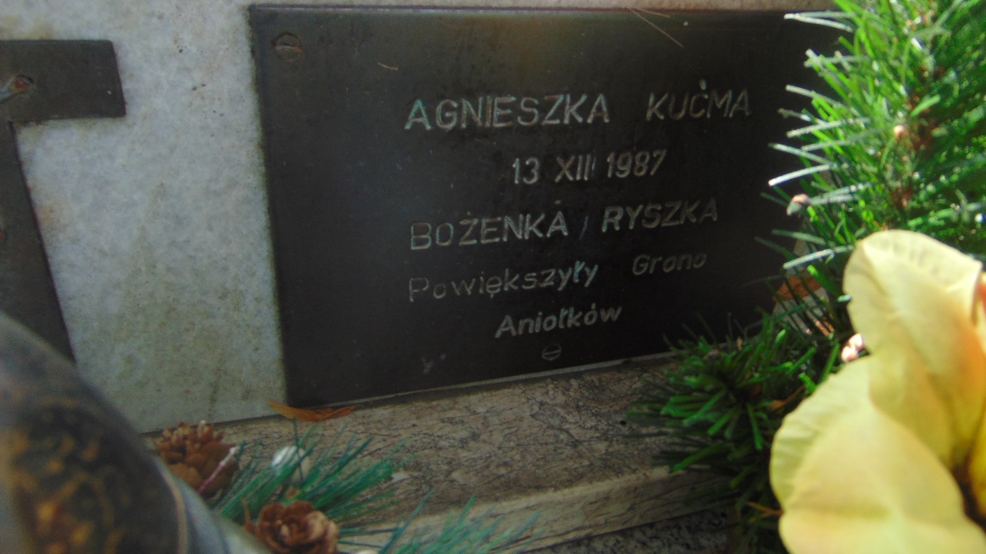 Bożena Ryszka Polanica Zdrój - Grobonet - Wyszukiwarka osób pochowanych