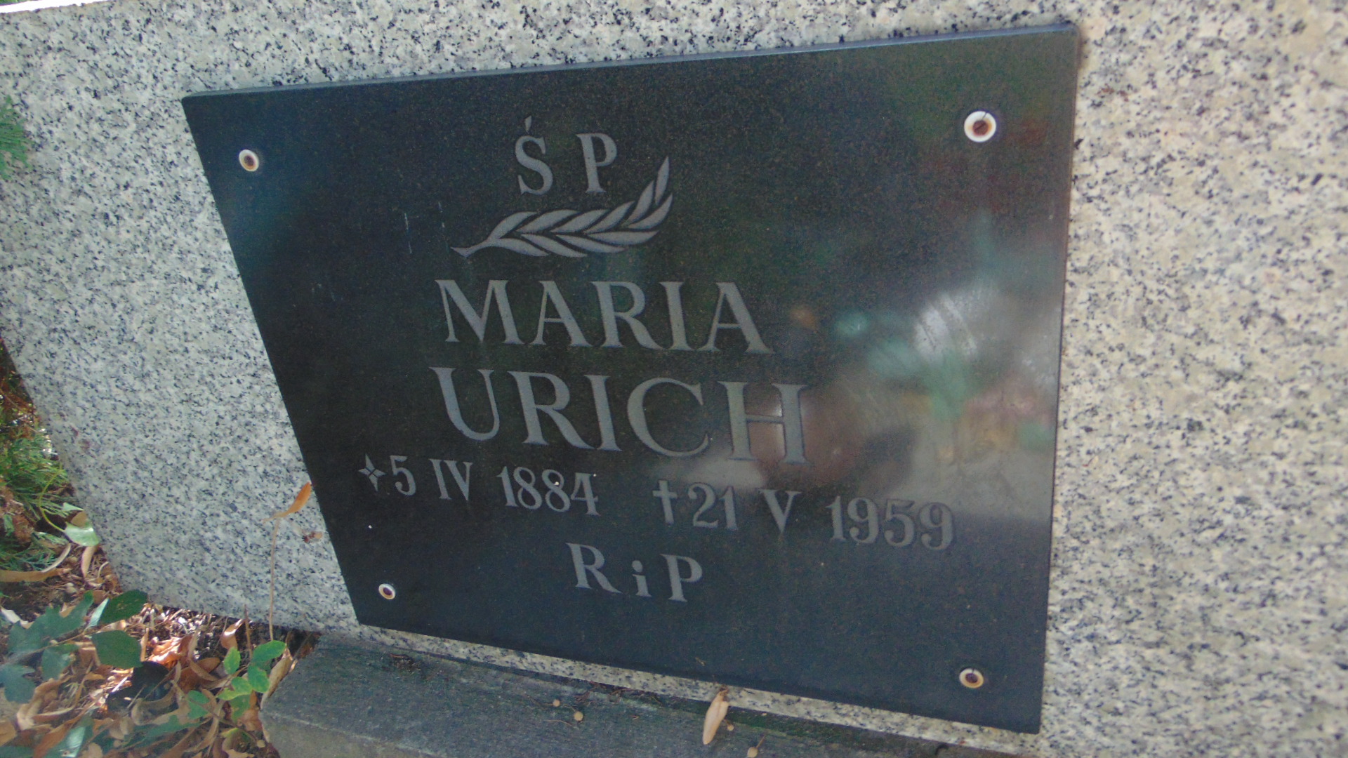 Maria Urich 1884 Polanica Zdrój - Grobonet - Wyszukiwarka osób pochowanych
