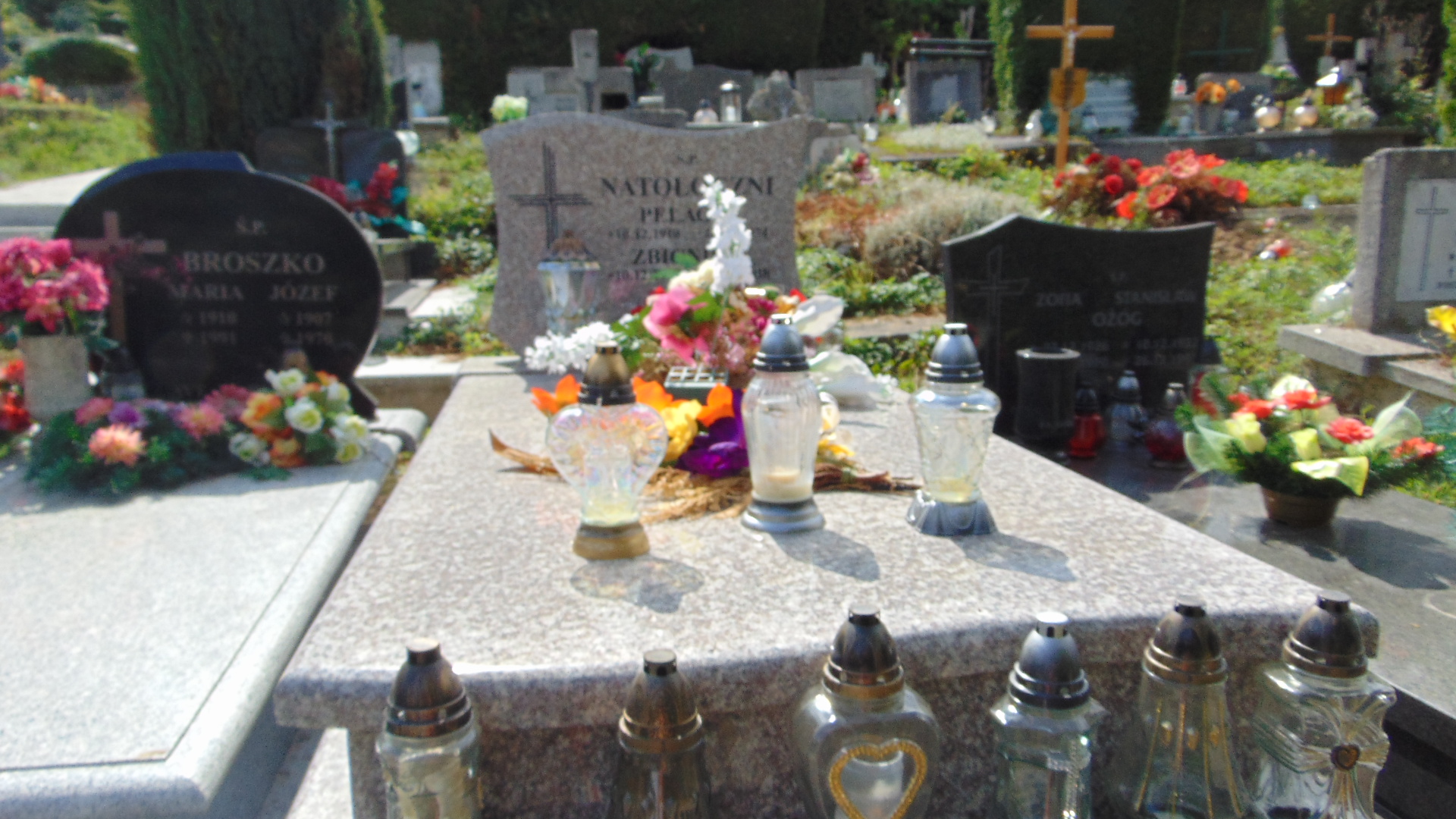 Danuta Natołoczna 1945 Polanica Zdrój - Grobonet - Wyszukiwarka osób pochowanych