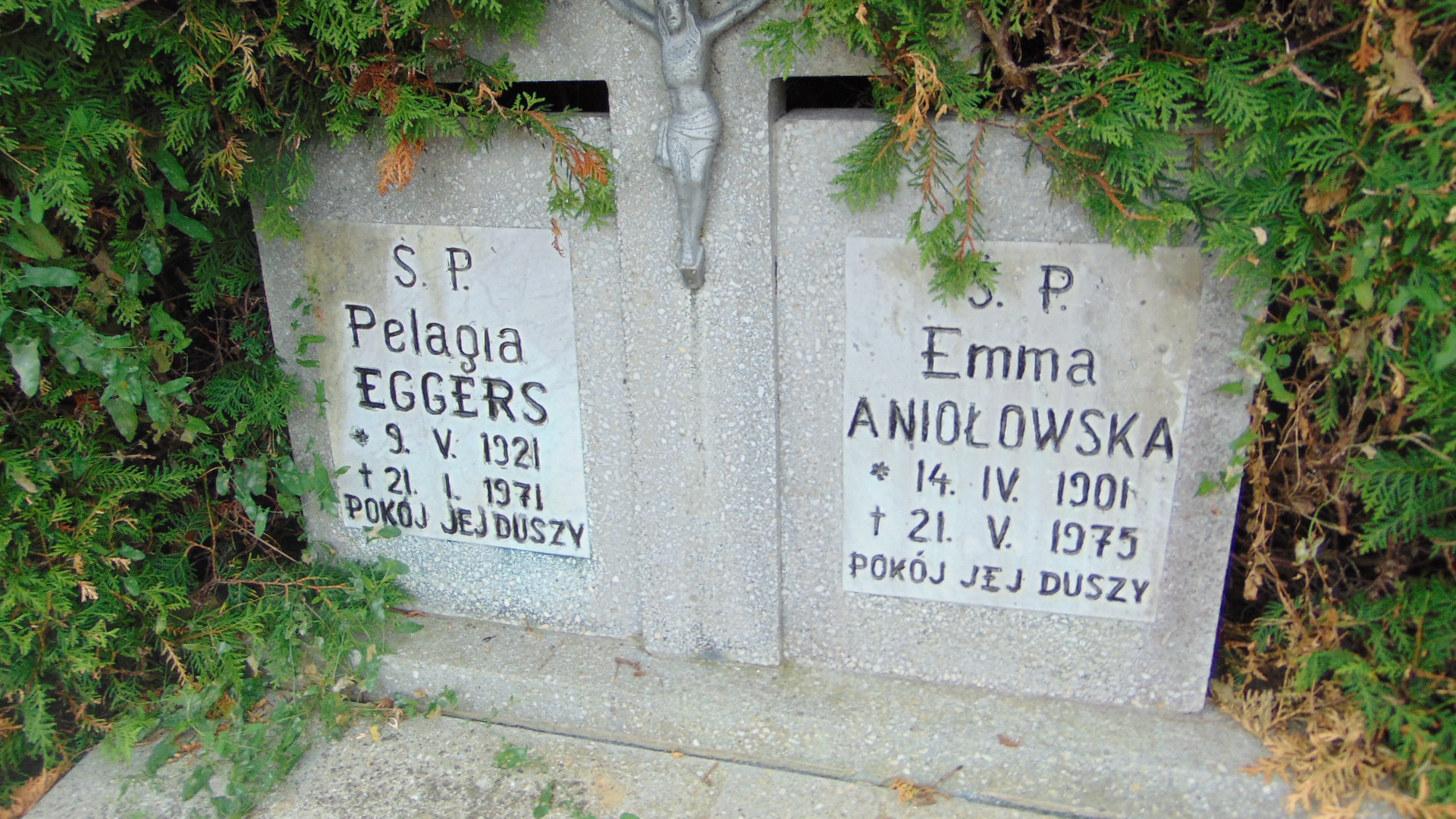 Emma Aniołowska 1901 Polanica Zdrój - Grobonet - Wyszukiwarka osób pochowanych