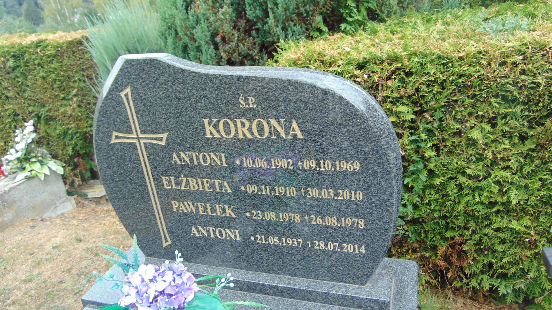 Antoni Korona 1937 Polanica Zdrój - Grobonet - Wyszukiwarka osób pochowanych