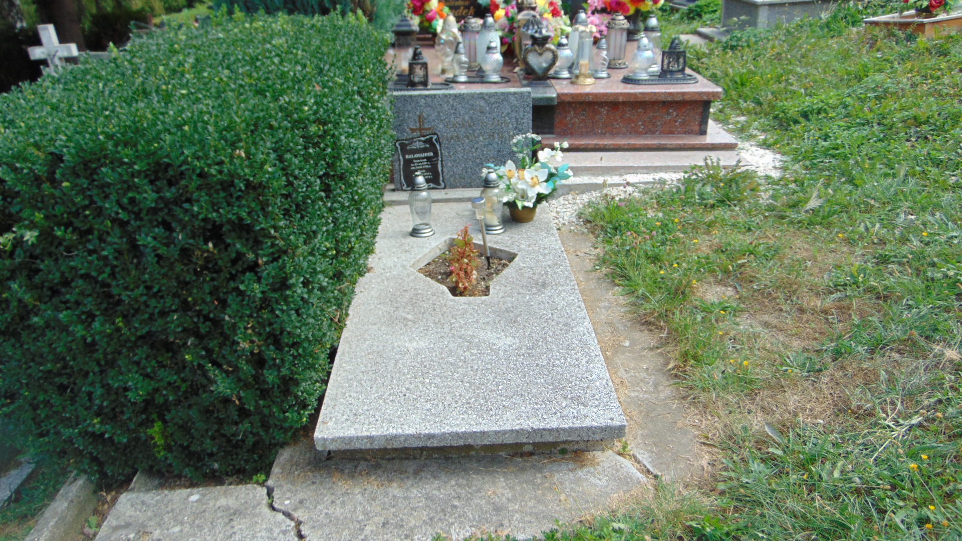 Franciszek Balawajder 1897 Polanica Zdrój - Grobonet - Wyszukiwarka osób pochowanych