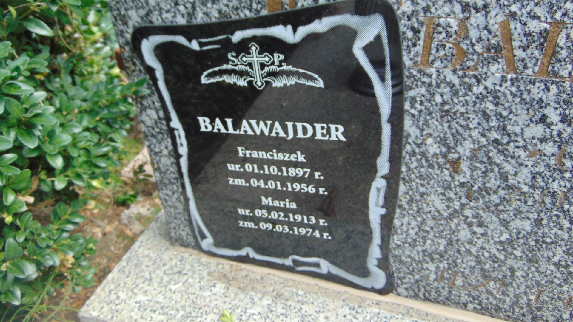 Franciszek Balawajder 1897 Polanica Zdrój - Grobonet - Wyszukiwarka osób pochowanych