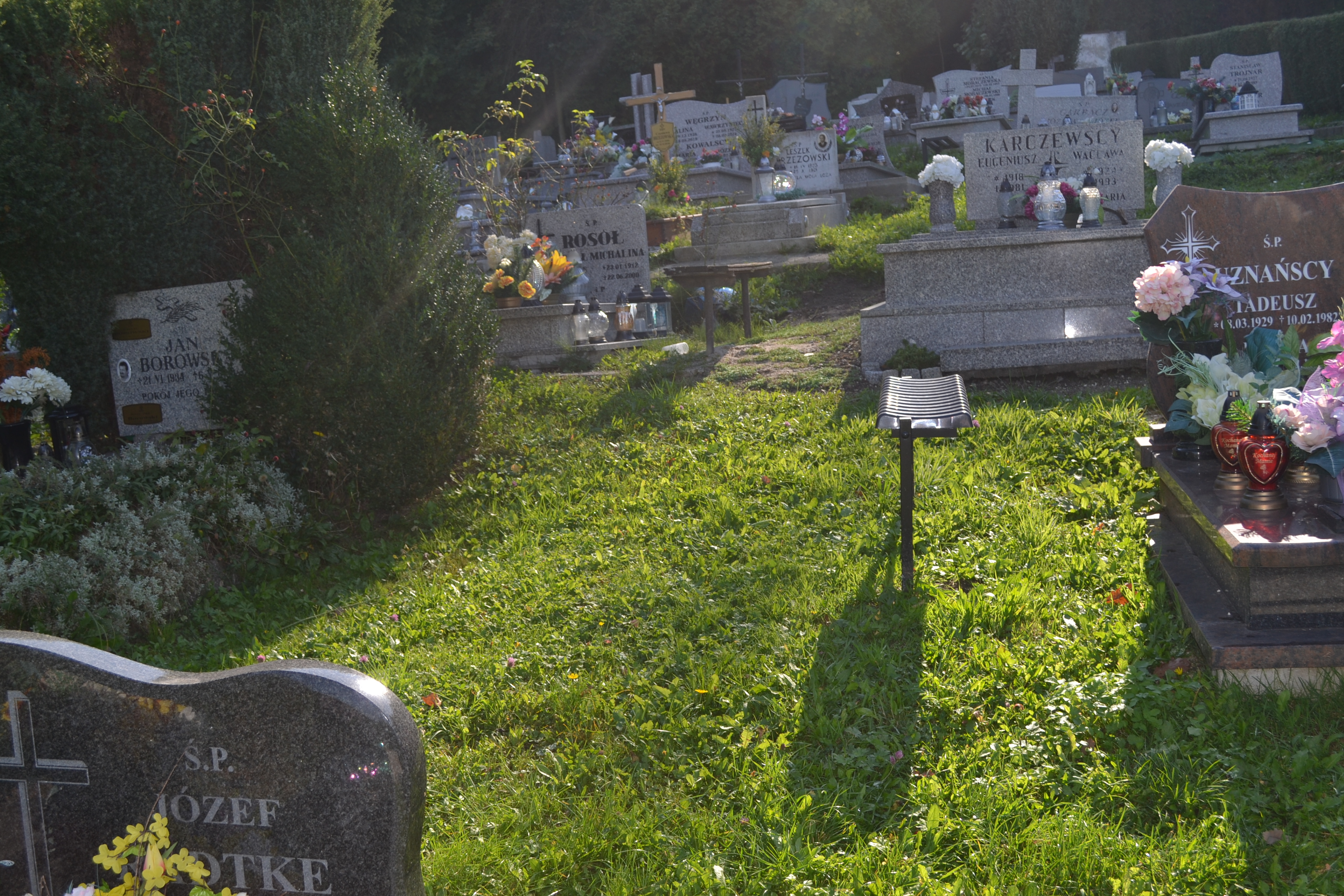 Halina Wroniszewska 1958 Polanica Zdrój - Grobonet - Wyszukiwarka osób pochowanych