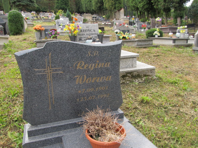 Zofia Dyrlanka 1905 Polanica Zdrój - Grobonet - Wyszukiwarka osób pochowanych