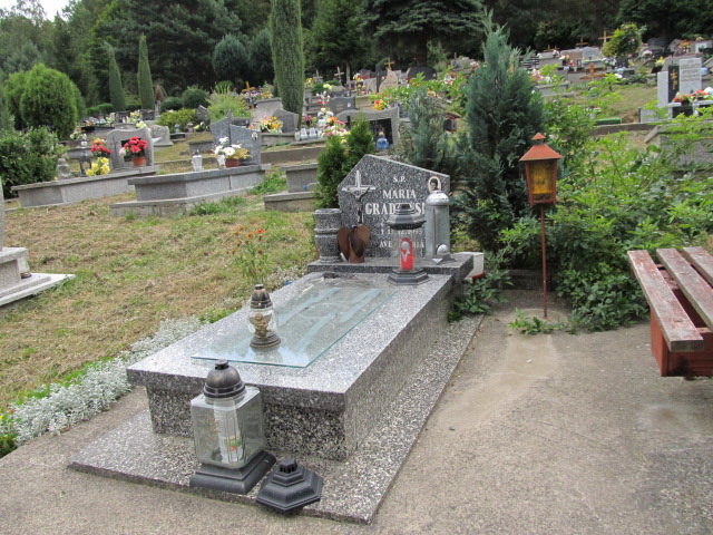 Henryk Gradziński 1931 Polanica Zdrój - Grobonet - Wyszukiwarka osób pochowanych